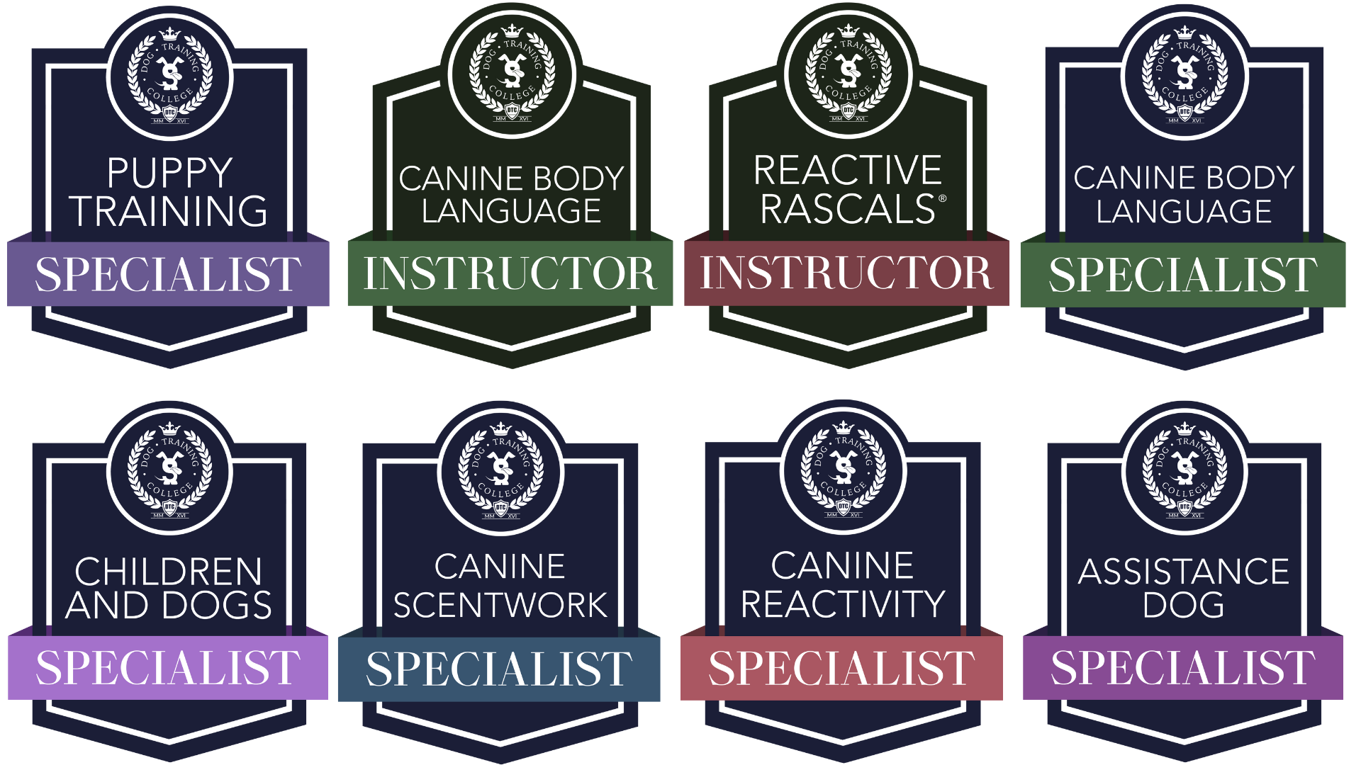 Qualified Dog Trainer Bournemouth