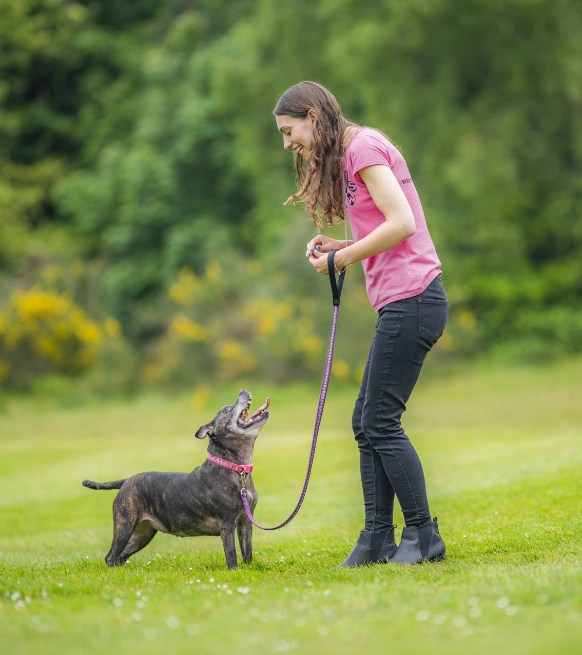 Kirsty training a Dog at home — kind, positive Dog training in Bournemouth, Ferndown and Wimborne
