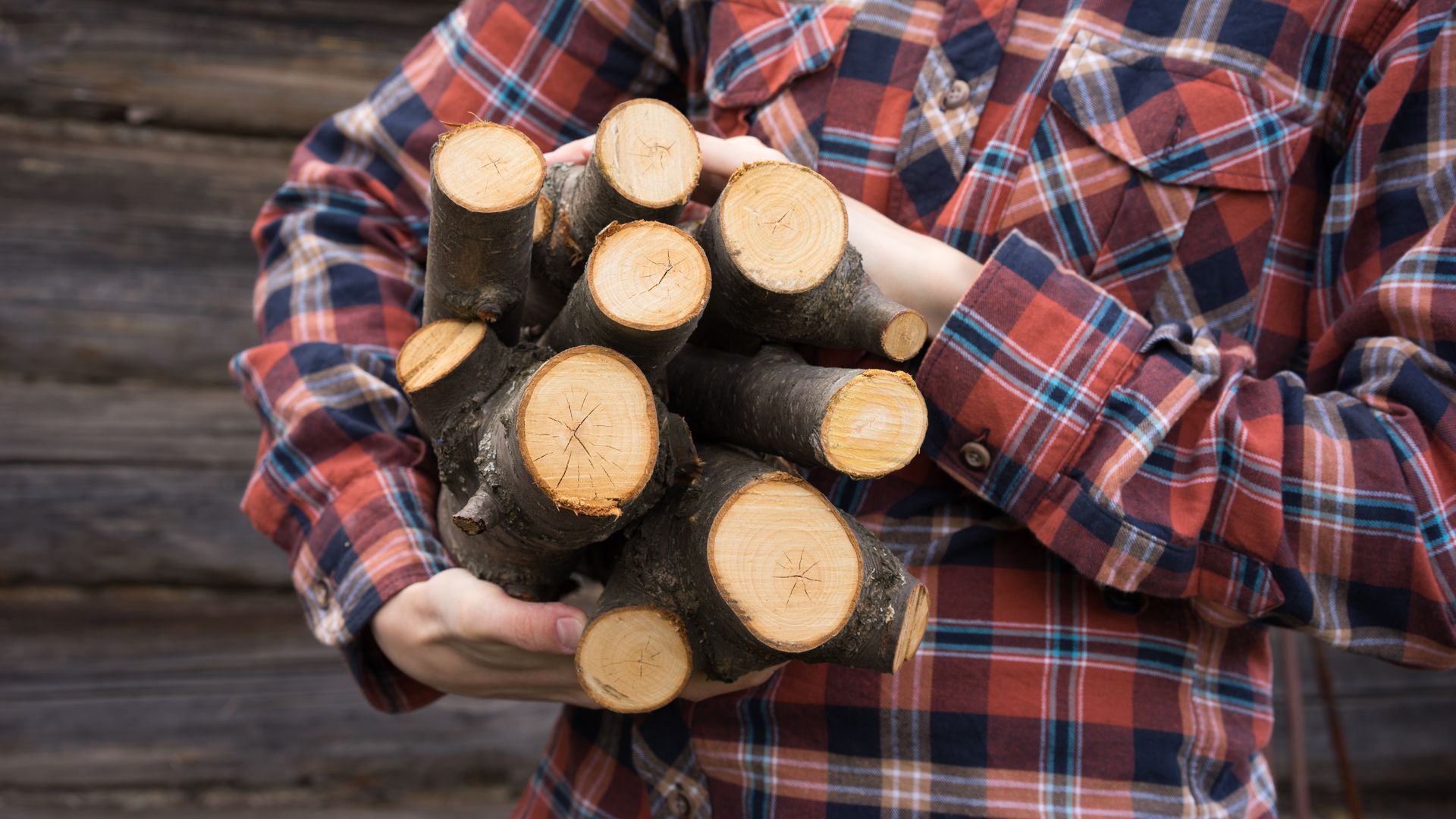 Person in a plaid shirt holds a bundle of cut firewood, near a wooden wall.
