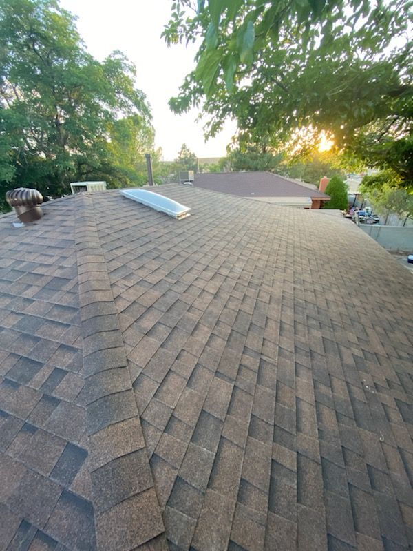 A shingled roof with a skylight and chimney, trees and sunset in the background.