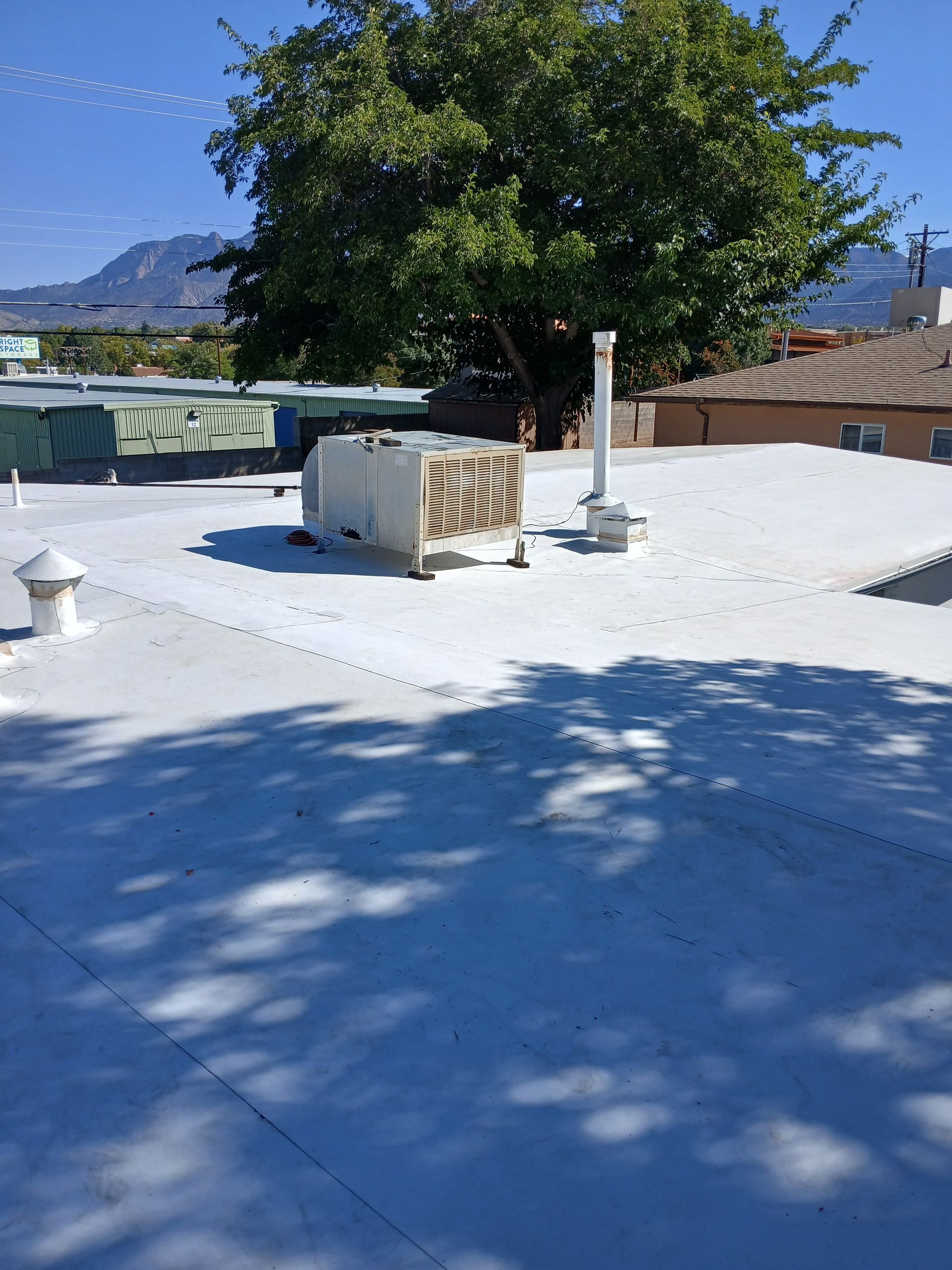 White roof with HVAC unit, vent pipes, large tree in the background. Bright sunny day, blue sky.
