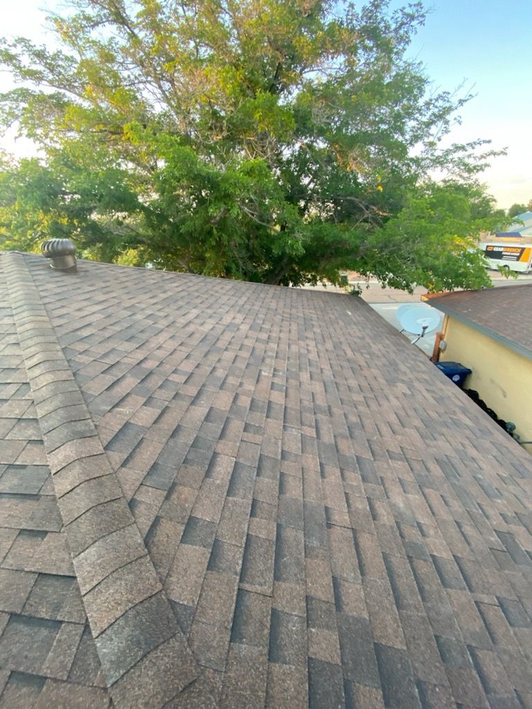 Shingled roof with a large green tree in the background; a sunny day.