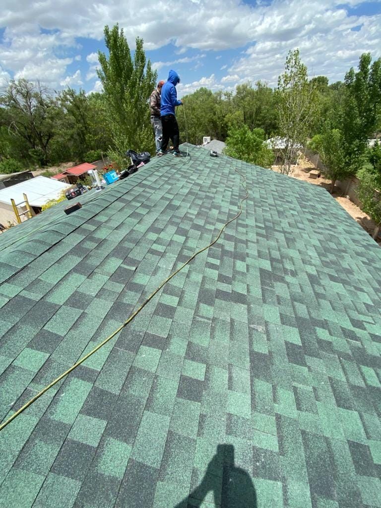 Person on green-shingled roof against a backdrop of trees and blue sky.