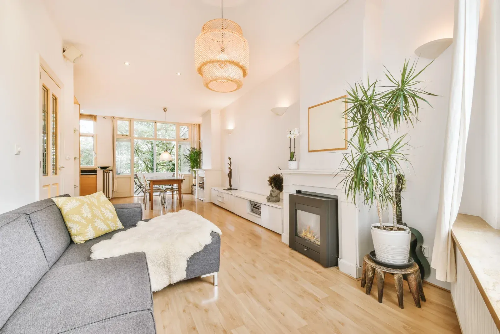 Living room with grey sofa, white walls, fireplace, and large houseplant.