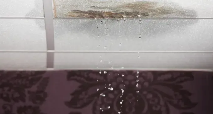 eliminar una filtración de agua en el techo en Sahagún, León