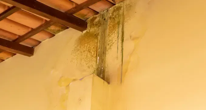 eliminar una gotera puntual en un tejado en Astorga, León