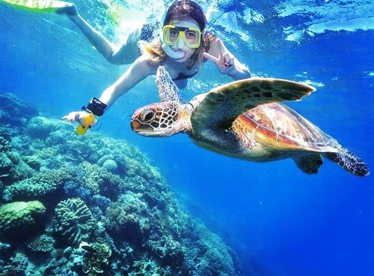Woman Freediving and Capturing an Image with a Sea Turtle — Adventure Cairns & Beyond in Cairns City, QLD