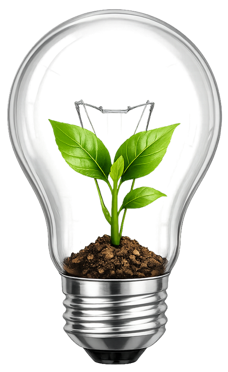 Green plant growing inside a clear light bulb, symbolizing eco-friendly energy.
