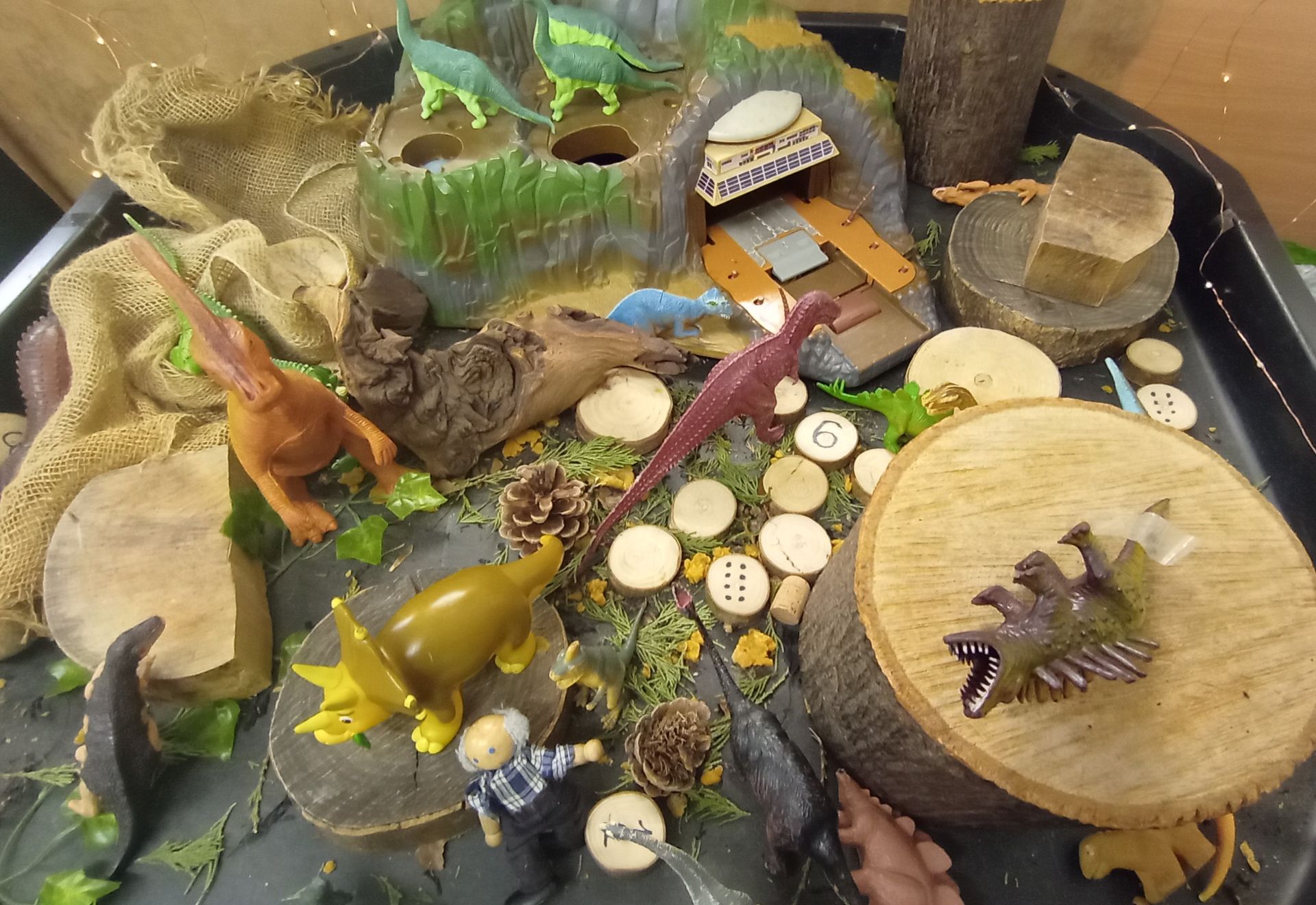 A tray filled with lots of toy dinosaurs and fossils Gingerbread