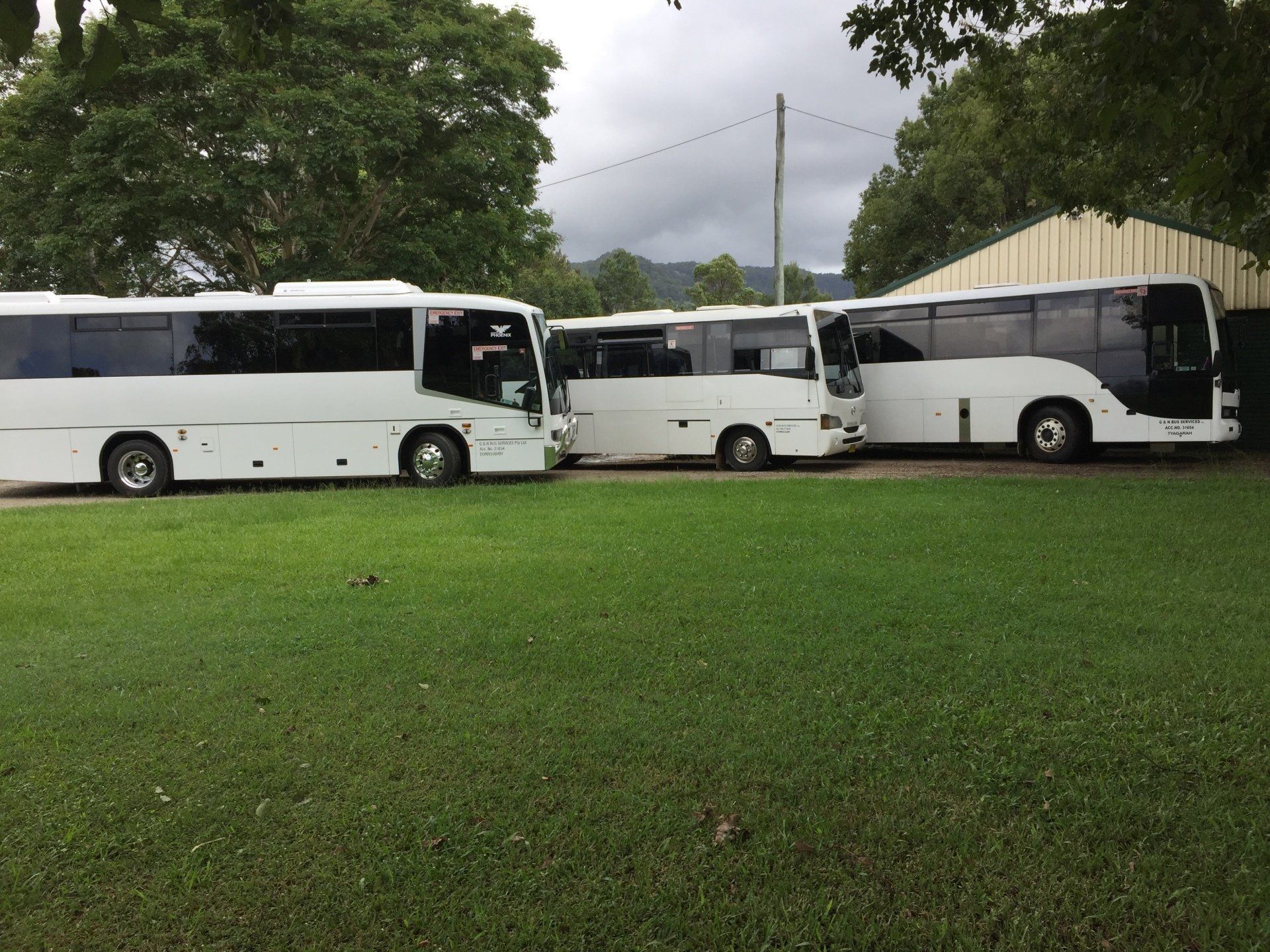 fleet of buses