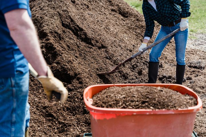 Two people in work clothes and gloves shovel mulch from a large pile into a red wheelbarrow.