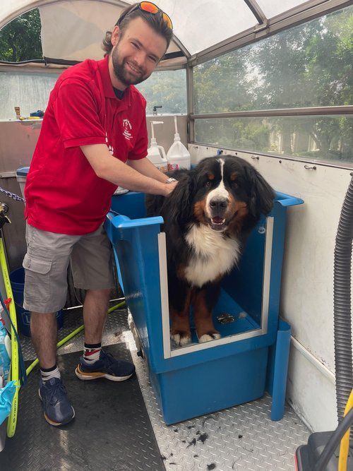 A man in a red shirt is standing next to a dog in a blue tub.