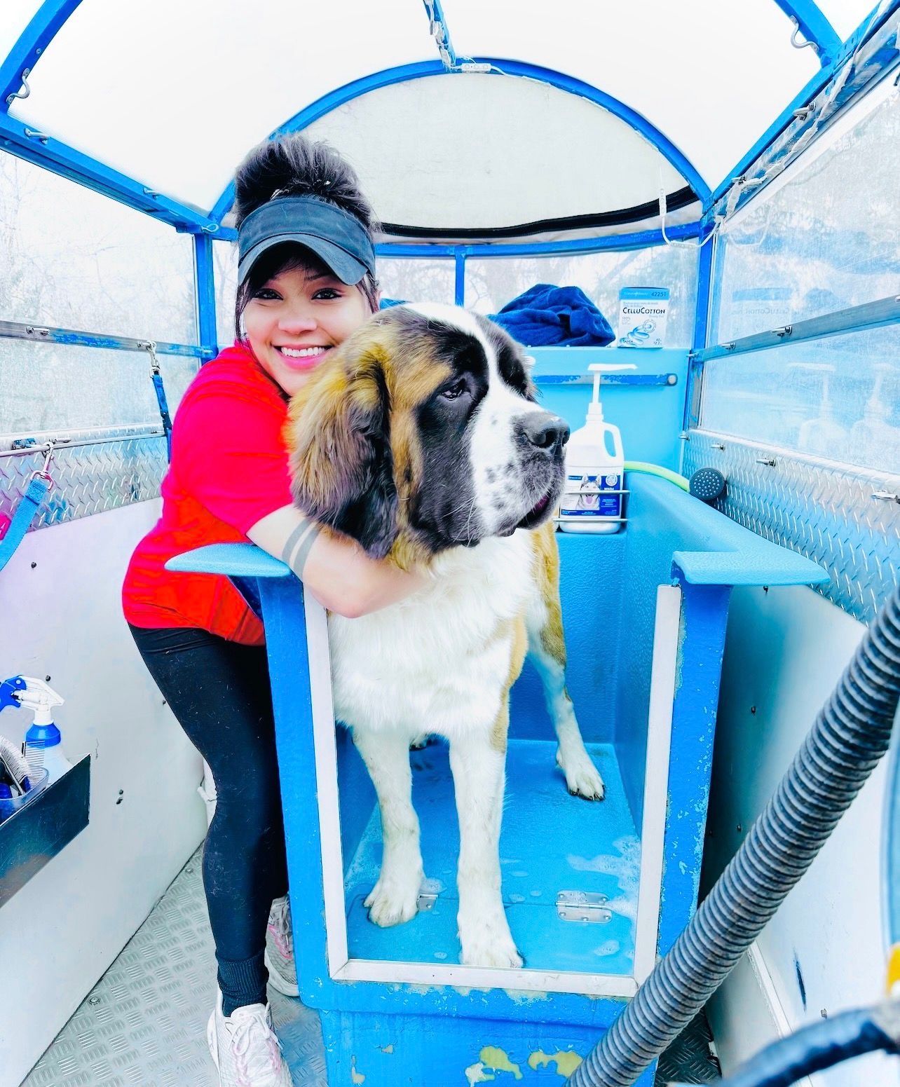 A woman is standing next to a white dog in a trailer