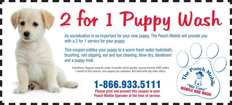 A coupon for a puppy wash with a picture of a puppy