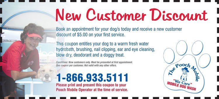 A coupon for a new customer discount for a dog groomer