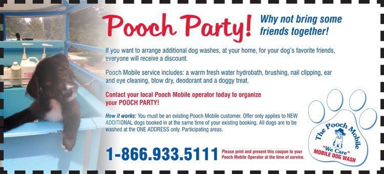 A coupon for a pooch party with a picture of a dog
