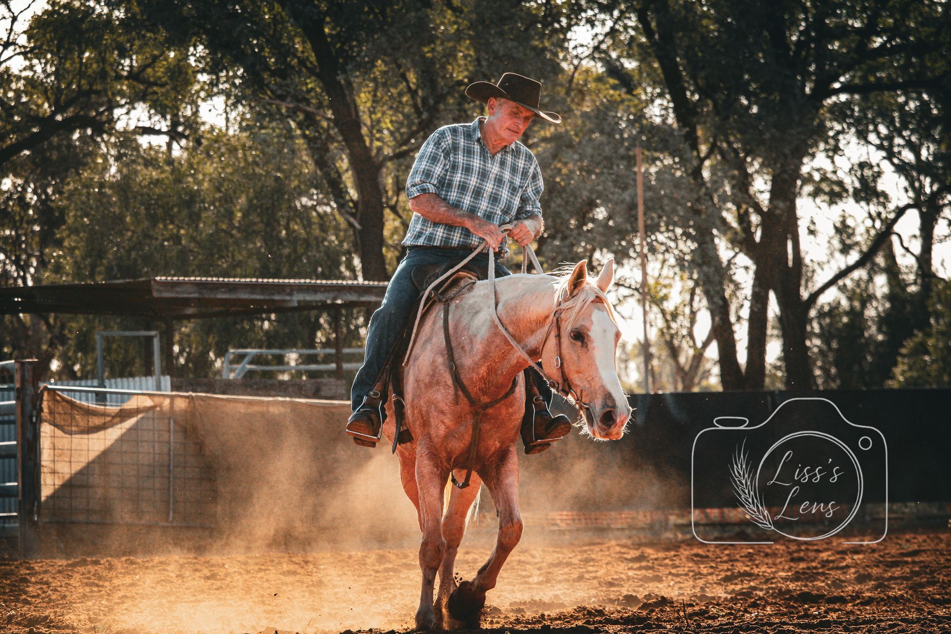Man riding a palomino horse in a dusty arena; the horse is trotting.