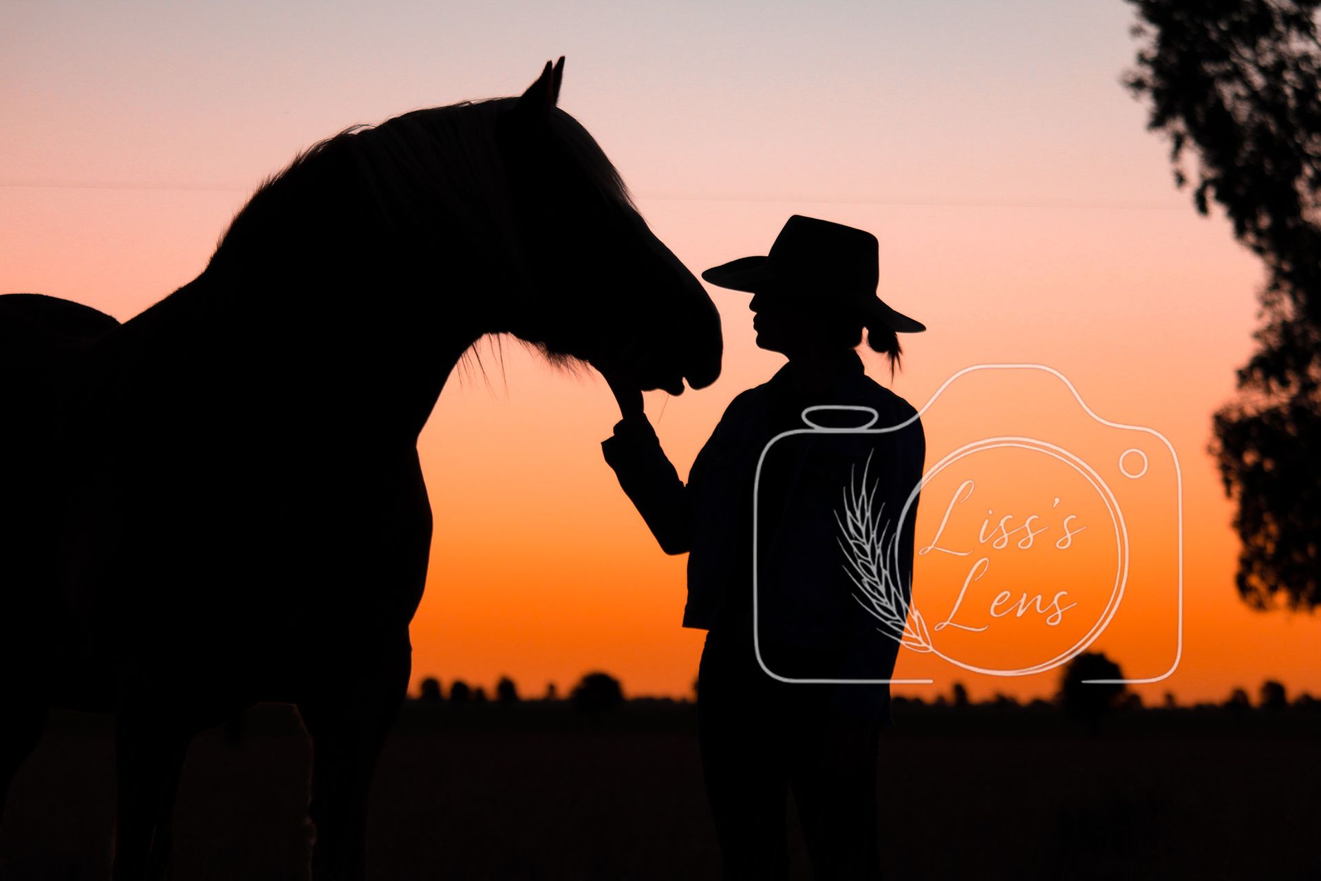Silhouette of a person in a cowboy hat touching a horse's head at sunset; orange sky.