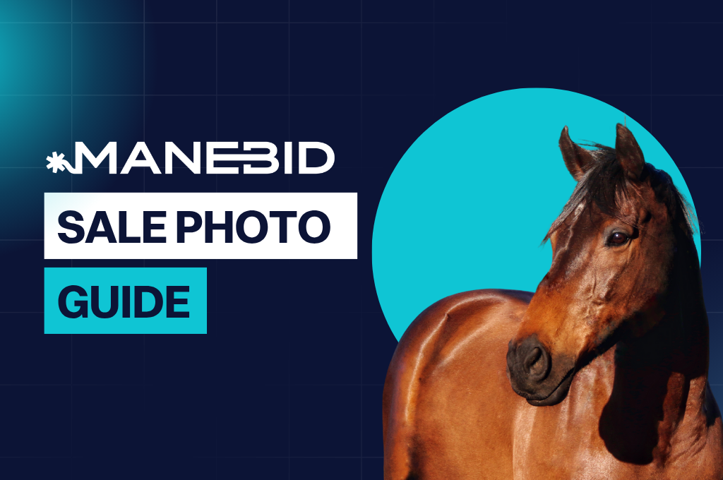 Manebid Sale Photo Guide graphic with a brown horse and blue background.