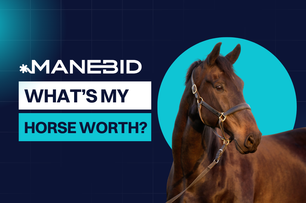 A dark brown horse stands before a cyan circle and dark blue grid background with the text,