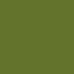 Fond vert olive uni.