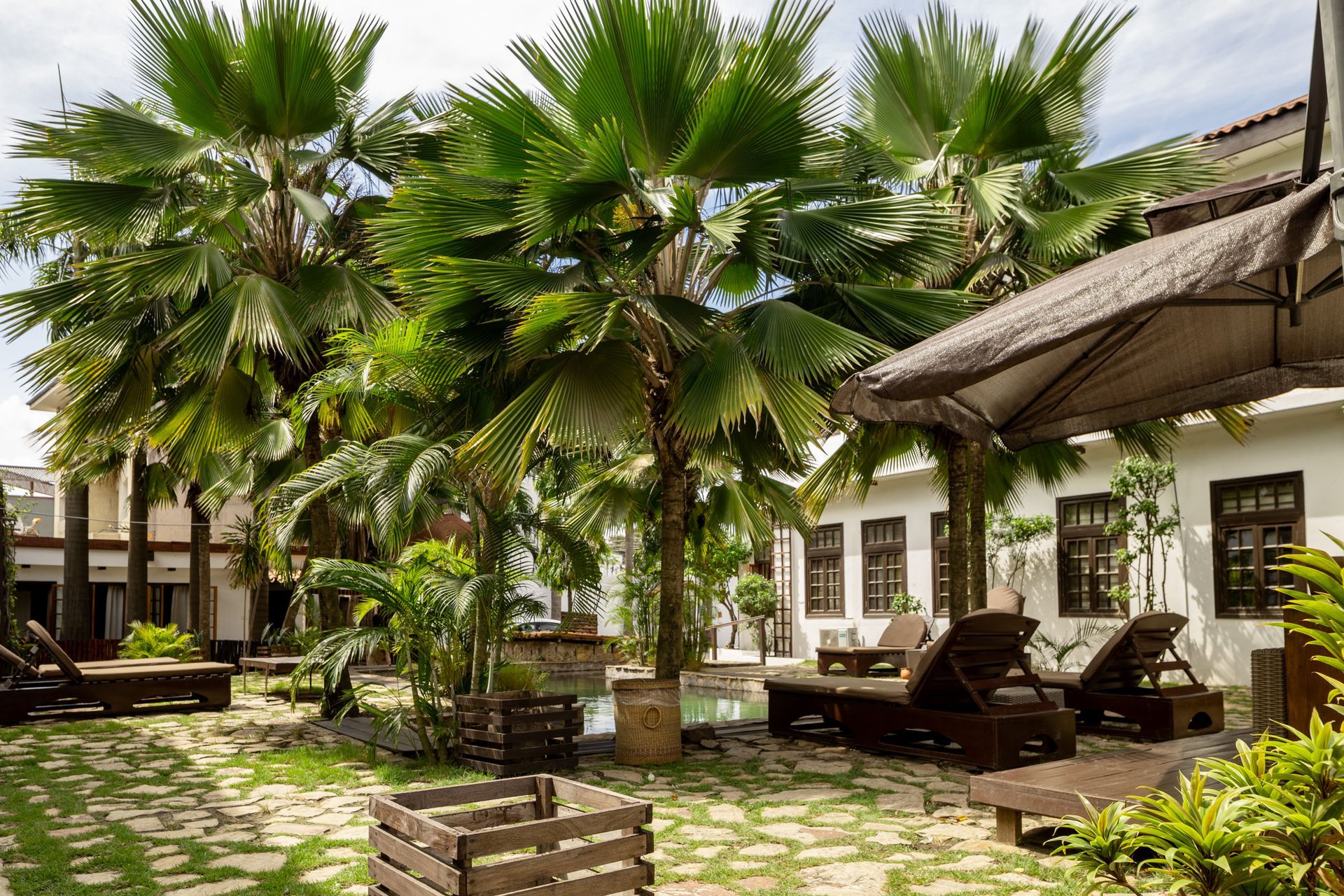 A tropical courtyard with lounge chairs surrounding a small pool, framed by palm trees and white colonial-style buildings.