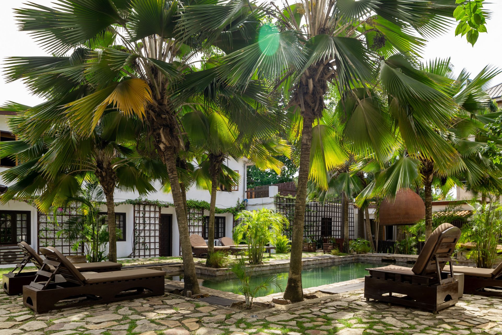 A quiet tropical courtyard with a stone-paved pool area, lounge chairs, and lush palm trees near a white villa.