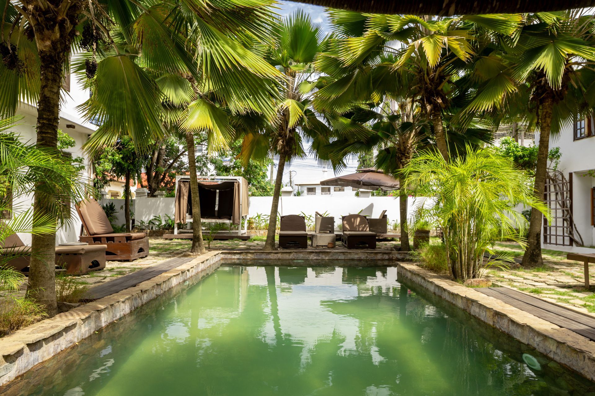 A rectangular swimming pool surrounded by palm trees, lush green foliage, lounge chairs, and white buildings.