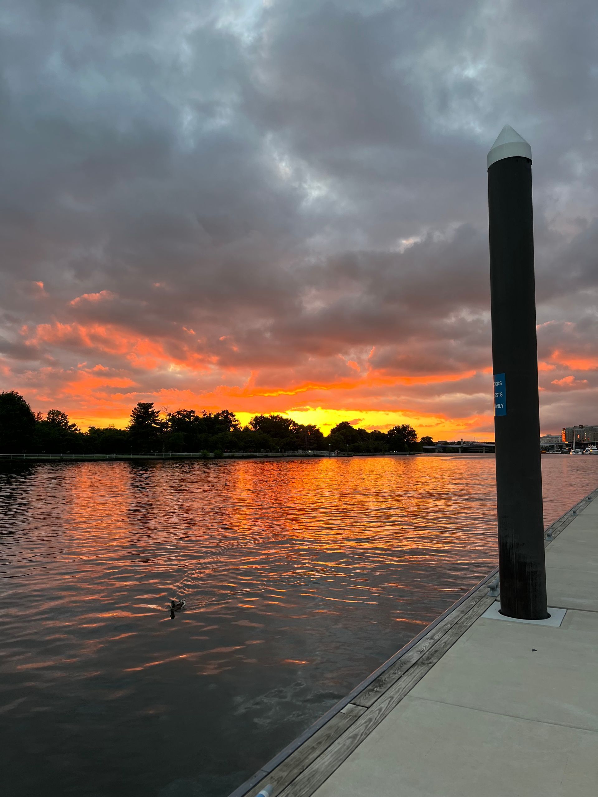 Sunset over the Washington Channel | DMV real estate