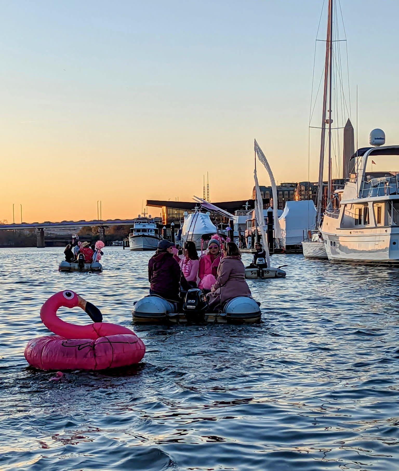 Cherry Blossom dinghy parade with decorated dinghies towing a pink flamingo into the setting sun