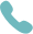 Phone icon