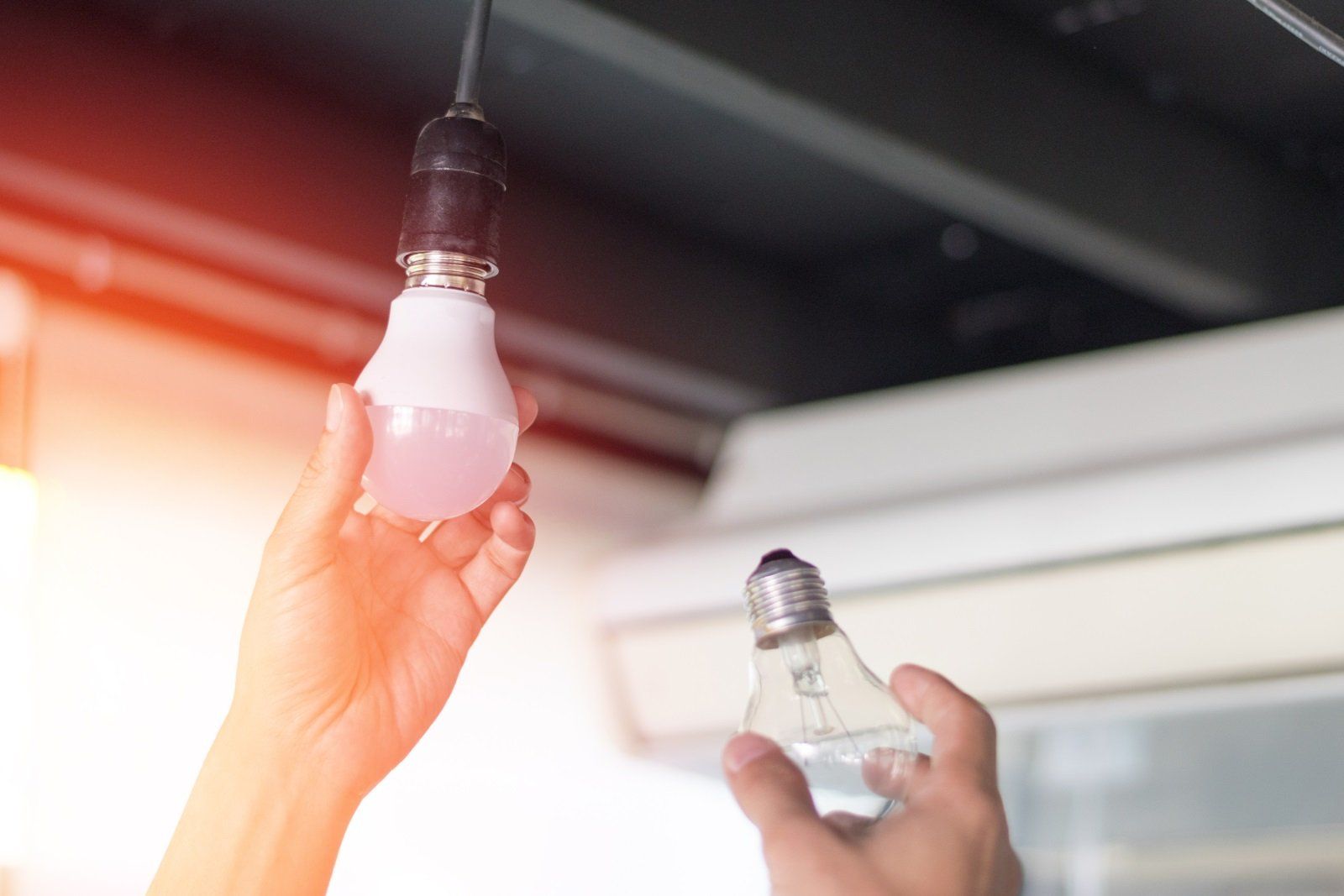 In una stanza luminosa, due mani reggono due lampadine: una brilla di rosa sotto un portalampada sospeso.
