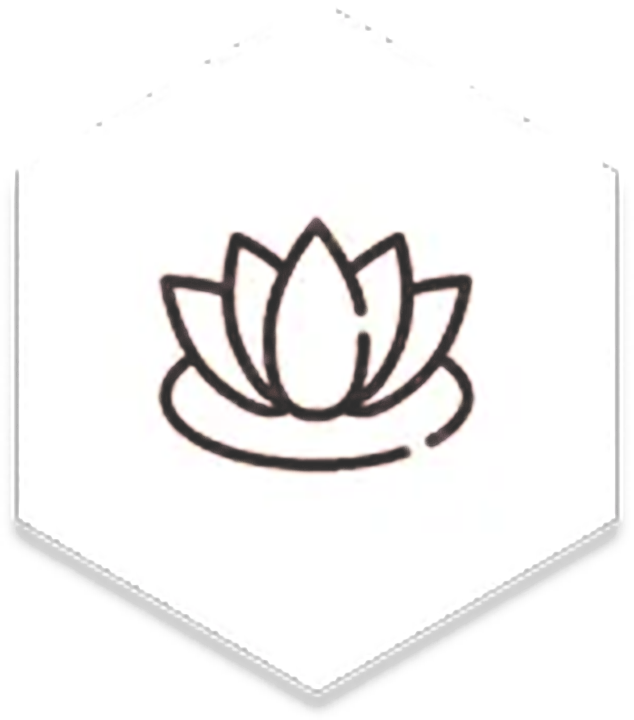 A line drawing of a lotus flower on a white background.