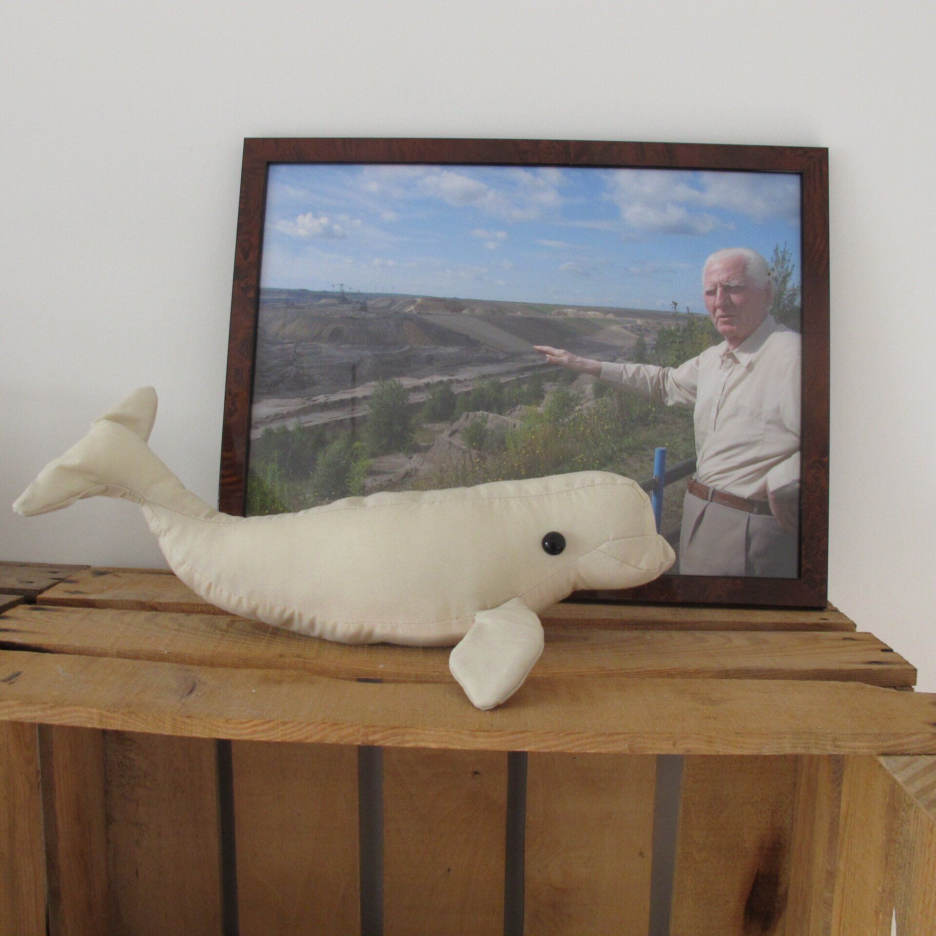 Een opgezette walvis zit op een houten kist voor een foto van een man