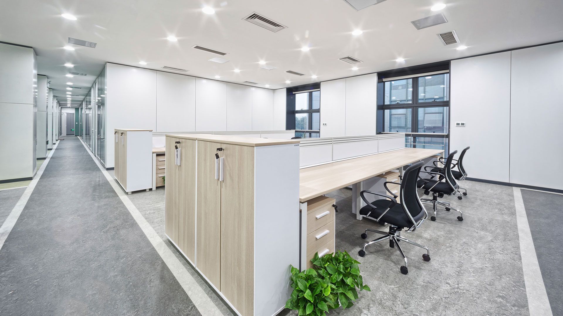 Modern office with workstations, white walls, gray carpet, and bright overhead lights.