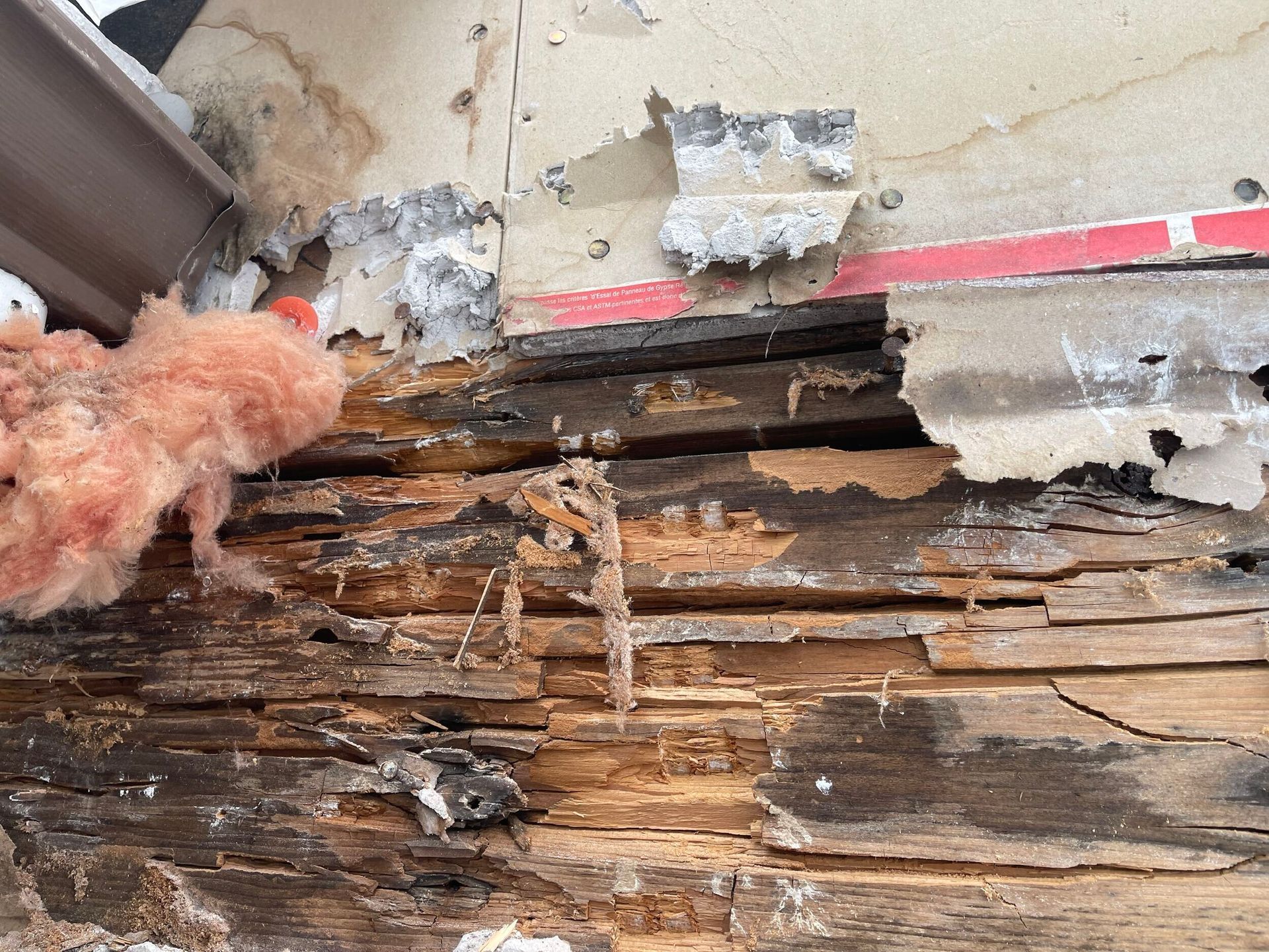 Damaged exterior wall with rotted wood, exposed insulation, and crumbling stucco.