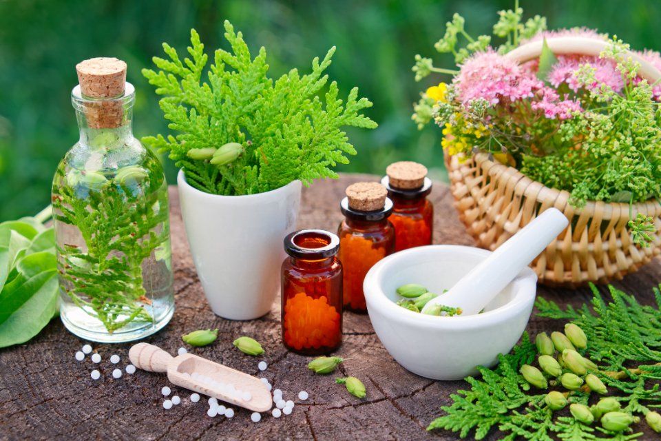 Omeopatia e fitoterapia