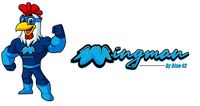 Wingman by Blue 42