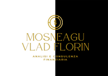 Vlad Florin Mosneagu logo