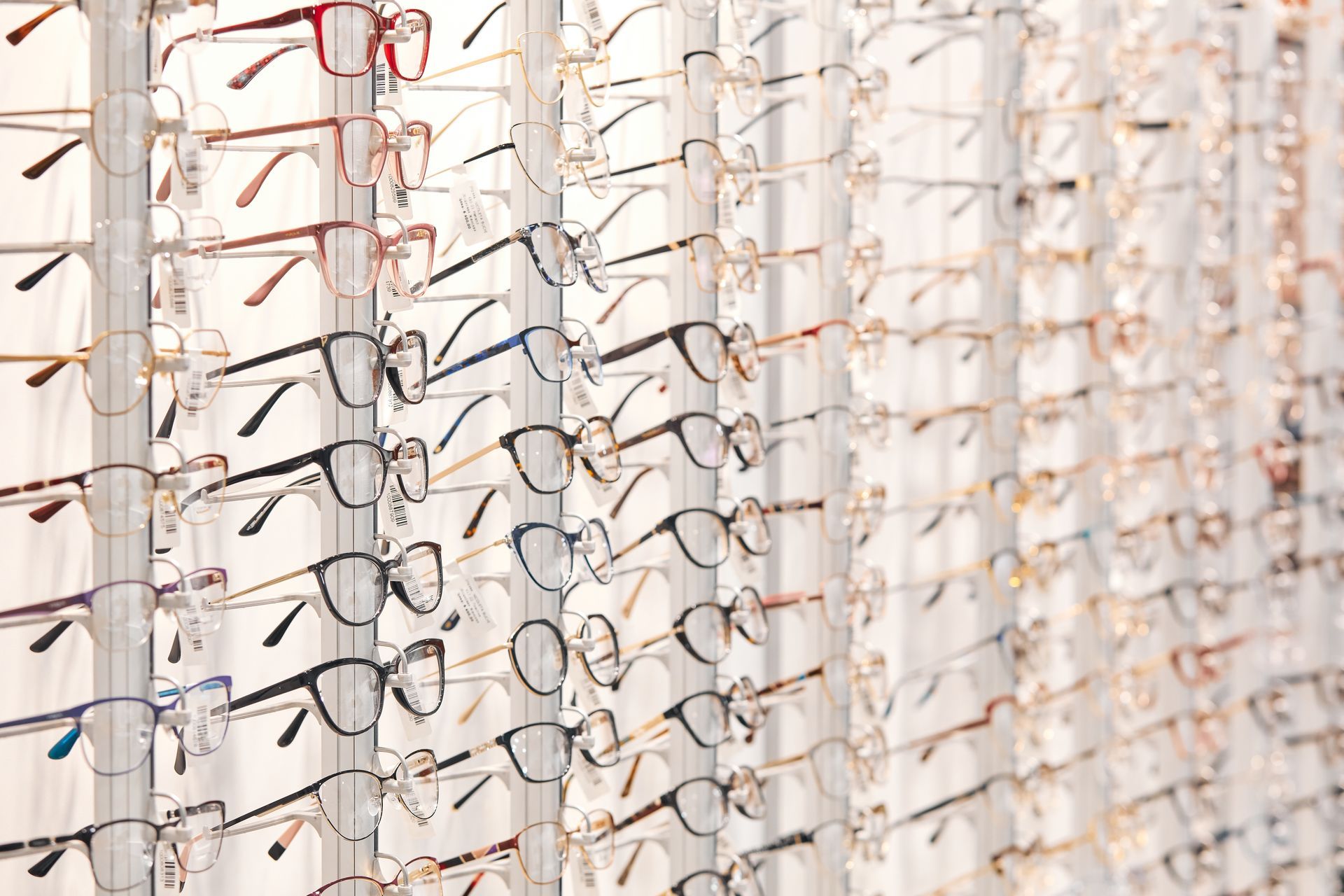 Row of stylish glasses at an opticians.