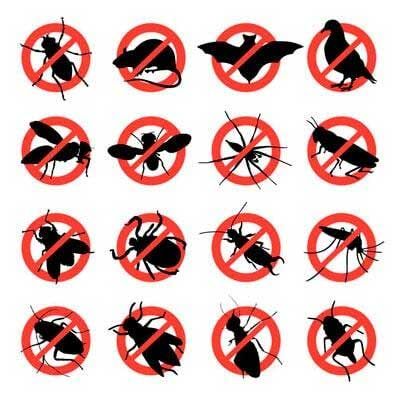 USEIN ULTRA SERVICIOS INTEGRALES - ELECTRICIDAD USEIN ULTRA SERVICIOS INTEGRALES - ELECTRICIDAD