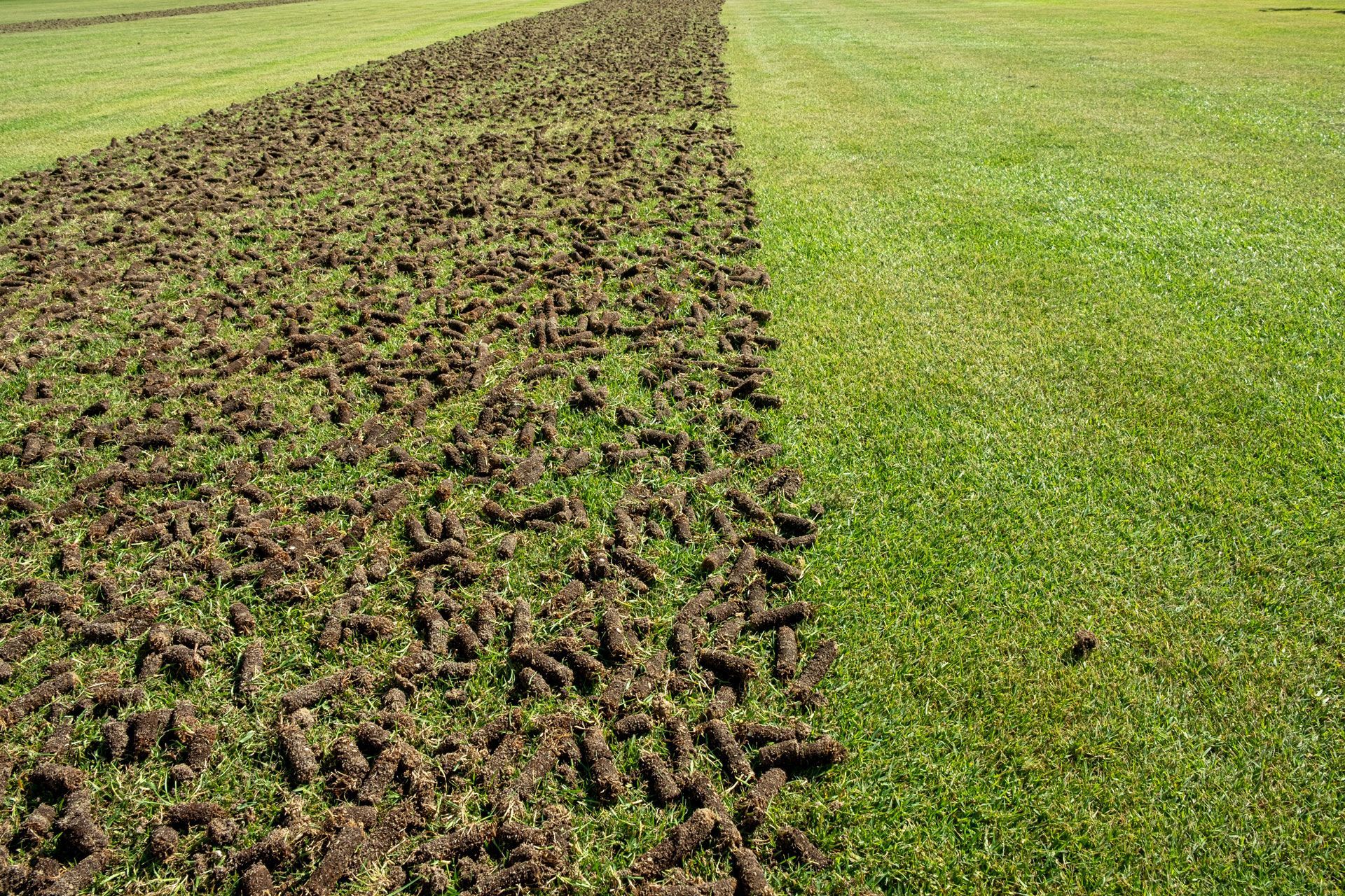 A tractor is spreading fertilizer on a lush green lawn.