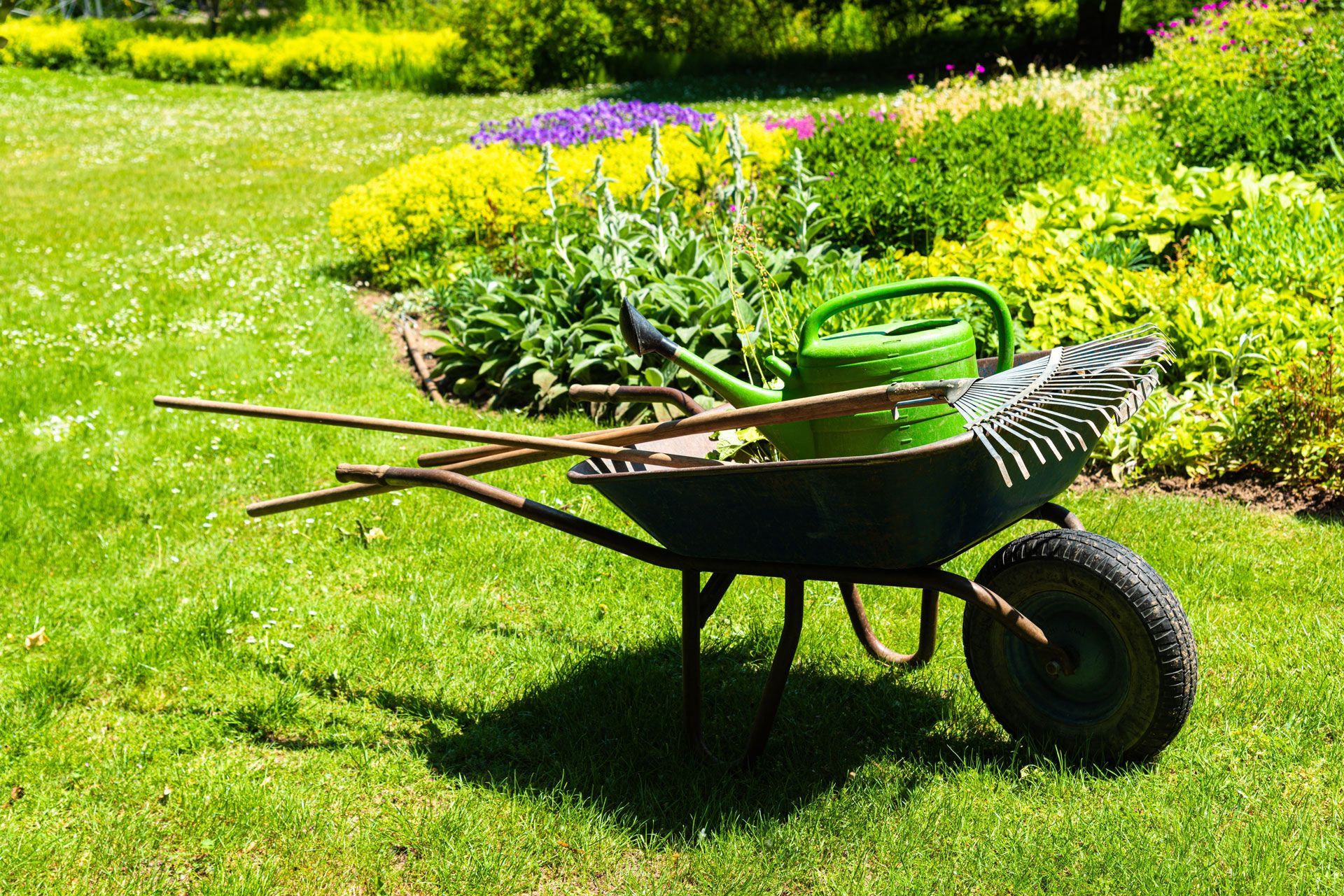 A wheelbarrow filled with gardening tools in a garden