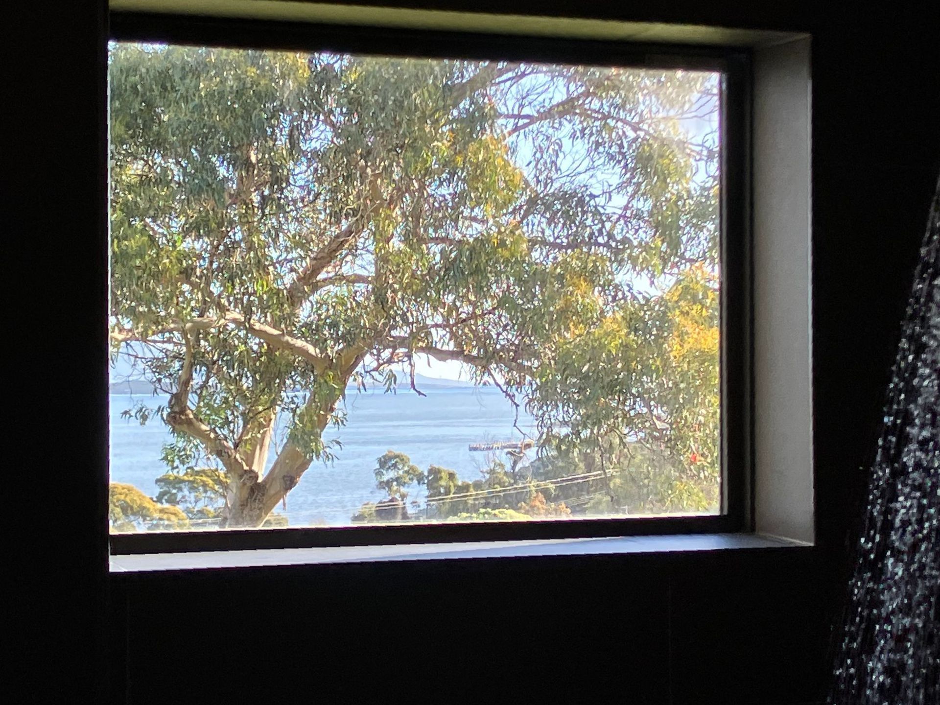 View from the shower