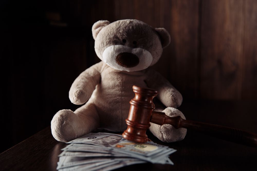 Judge gavel, money banknotes and teddy bear