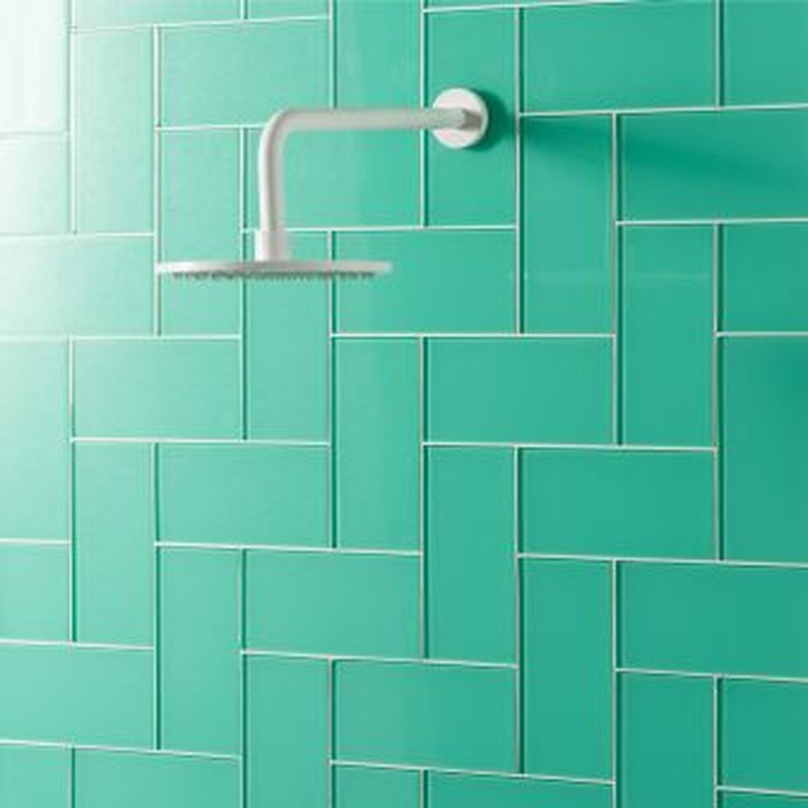 Green tiled shower wall with a white showerhead.