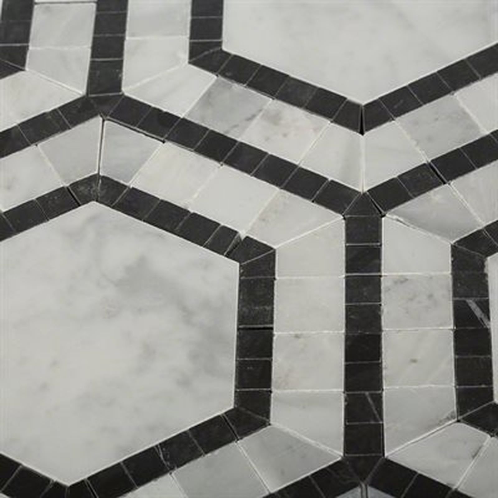 Geometric tile pattern with white hexagonal tiles bordered by black rectangular tiles.