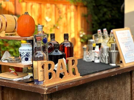 themed bar party