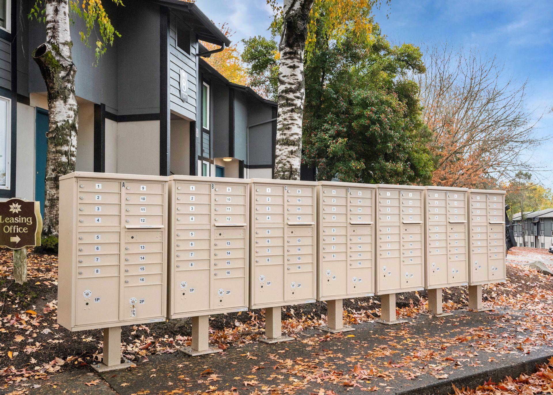Row of beige apartment mailboxes outside a building with fall leaves.