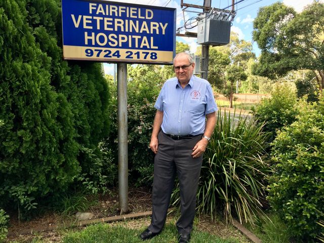 Fairfield veterinary cheap